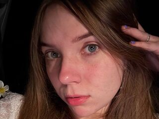 streaming live webcam BrookKingfisher