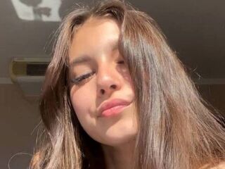 webcampicture NormanGillison